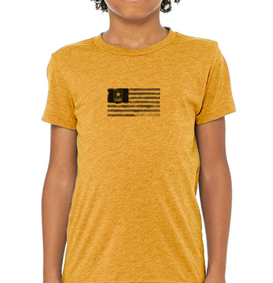 Bella + Canvas Kids Triblend T-Shirt